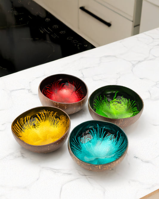 Colored Coconut Bowls For Dining
