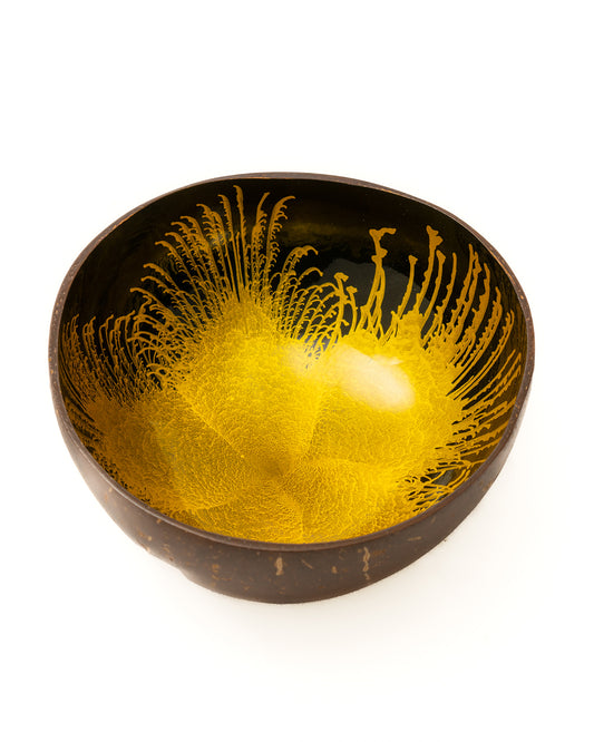 Colored Coconut Bowls For Dining